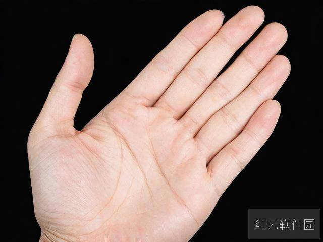 掌中之物在线观看免费全集解析与观剧指南
