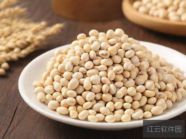 探索91久久精品一区二区三区豆花免费跳转入口官网,全面解析与使用指南