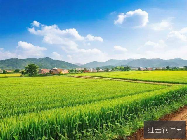 98精产国品一二三产区区别解析,在线了解关键差异